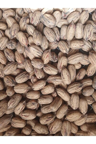 zeytintaş Kabuklu Pikan Ceviz normal boy 2 kg.