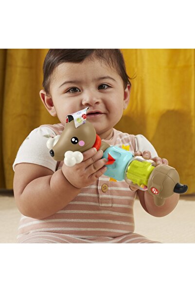 FISHER PRICE JUCARIE CATELUS DE ACTIVITATE PENTRU BEBELUSI CLICK AND SPIN