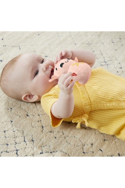 FISHER PRICE SET OF 4 TOYS