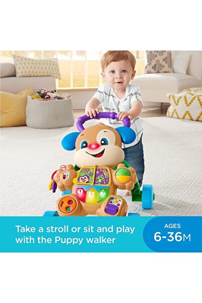 FISHER PRICE ANTEMERGATOR CATELUSUL INTERACTIV IN LIMBA ROMANA