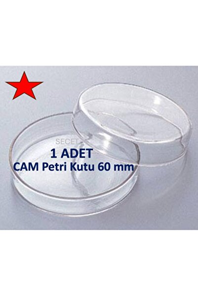 LAB Cam Petri Kabı 60 X 15 Mm Cam Petri Kabı 60mm ( 2 Adet/pk )