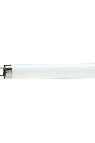 Philips TL-D 36W Snow White Floresan Ampul 12000K