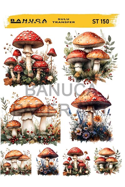DERYA DESİNG ART Banuca Sulu Transfer No:BAC150 25x35cm