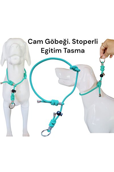 VSLT HANDMADE طوق تدريب الكلاب - مع سدادات وبوغما، جلد تدريب الكلاب، أطواق ال...