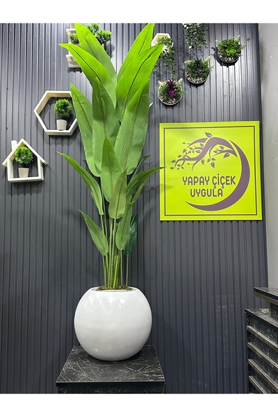 İremÇiçekçilik Yapay Çiçek Uygula Salon Cicegi 20 Yaprak 180 Cm Starlice