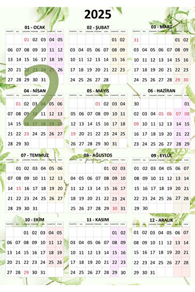 GÜL MZC 2025 Dikey Duvar Takvimi, Cam - Kapı - Duvar için, Arkası Yapışkanlı Sticker, Folyo