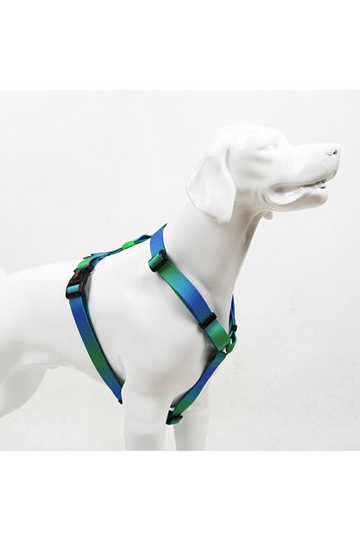 Tailpetz Amazon H-Type Chest Neck Collar and Ship Strap Set 3 in 1