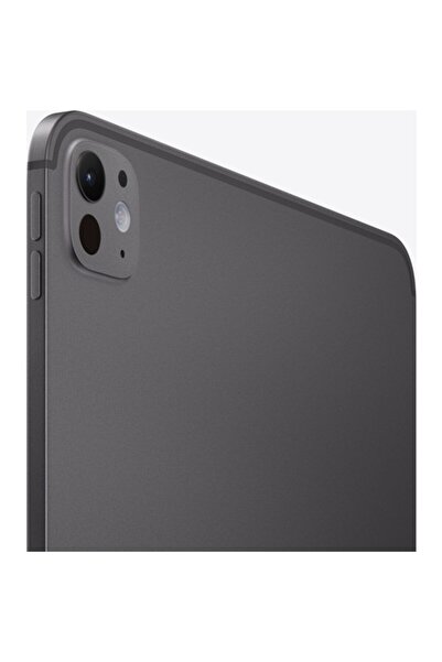 Apple 11" iPad Pro WiFi 256GB Standard Cam - Uzay Siyahı