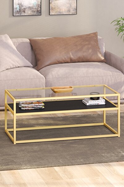 TOLIAHOME Modern Siyah-Gold Renk Metal İskeletli Temper Camlı 2 Katlı Dikdört...