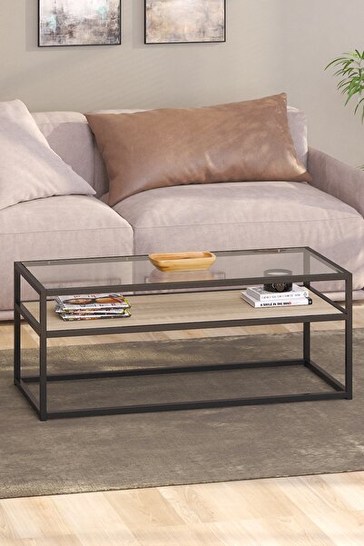 TOLIAHOME Modern Endülüs Siyah Renk Metal Iskeletli Temper Camlı 2 Katlı Dikd...