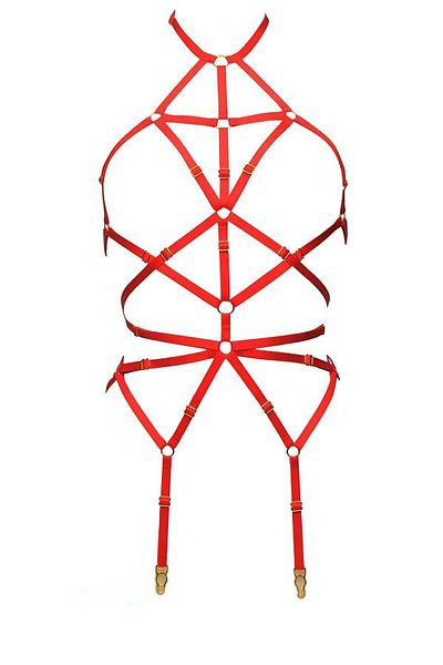 Angels Passion Custom Leather Harness - with Neck and Waist Stylish