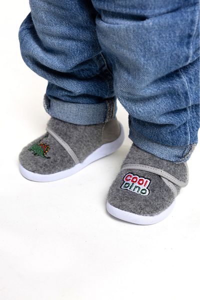 kids A more Dinosaur Dinosaur Figure Embroidered Boys' Felt Slippers Gray
