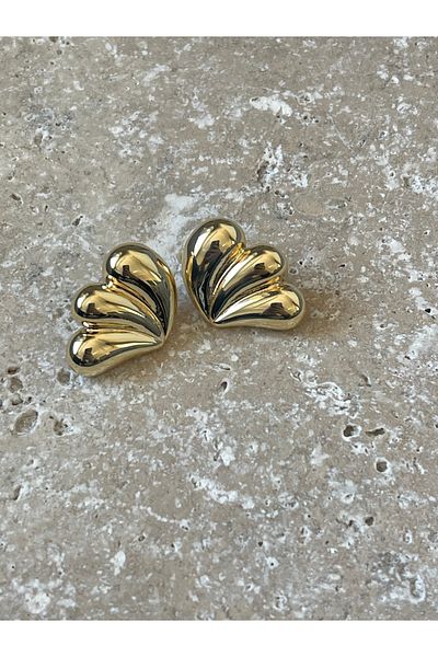 DKY Collection Triple Curved Small Model Earrings/ Steel Earrings / Zr Brand Model / Pinterest Earrings
