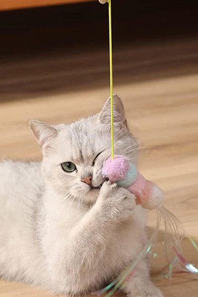 COZY SENSE Rattle Cat Toy Movable Caterpillar Toy Smart Cat Ball Teeth Scratching Toy