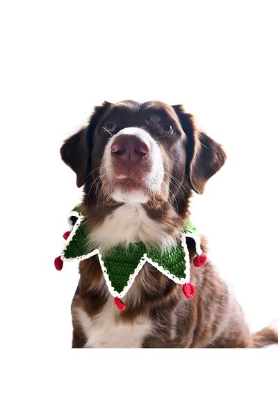 Zone Design Store Cat / Dog Christmas Collar Accessory / Collar