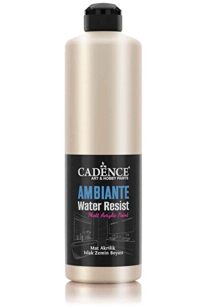 Cadence AMBIENTE SUYA DAY. MET. AKR. BOYA AWM-02 PLATİN 500ML + KATALİZÖR 20GR