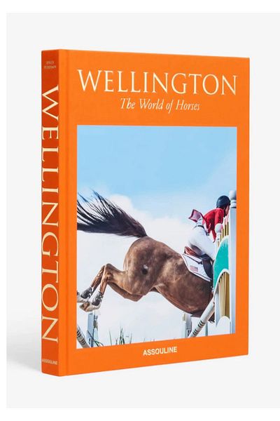 BSEYSTORE 2025 669 Wellington