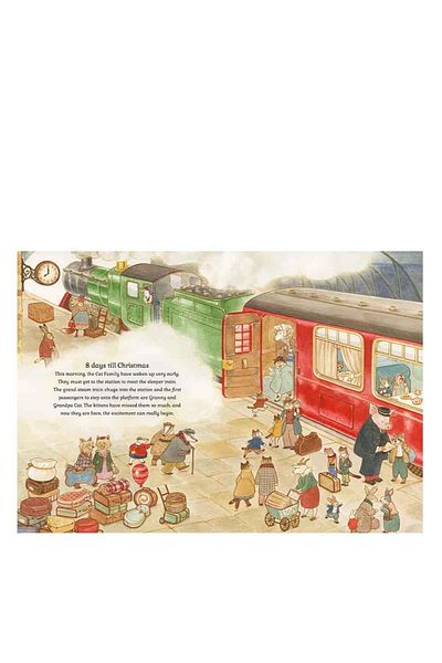 FRANCES LINCOLN Cat Family Christmas - Lift The Flap Advent Book