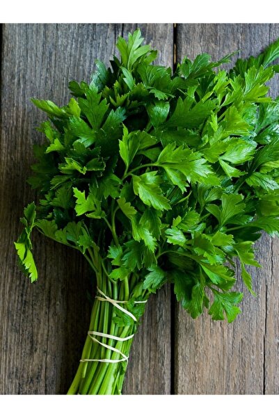 çarşı pazardan Maydanoz