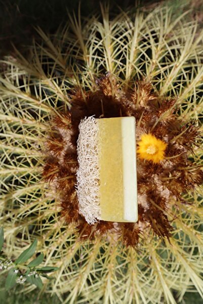 SAVIEN صابون أرز من ألياف اليقطين الطبيعية 125 جرام