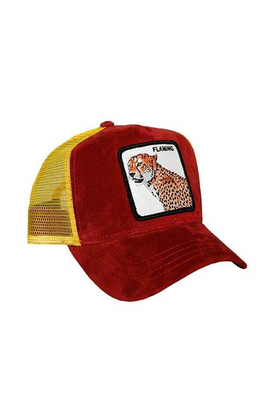 Goorin Bros Hat - Hot Cheetah