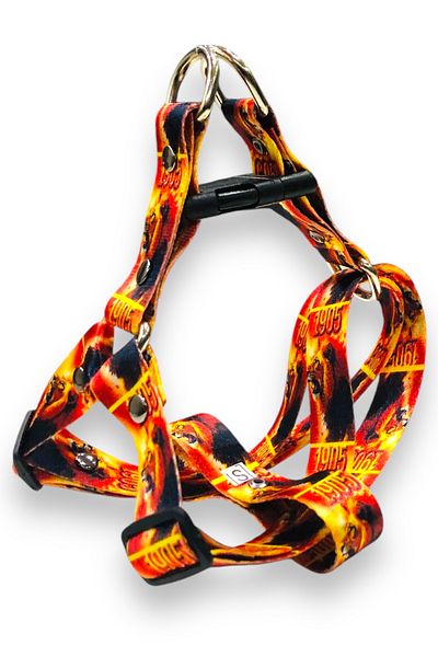 Angelapets Dog Collar (Chest Collar) Walking Strap Set