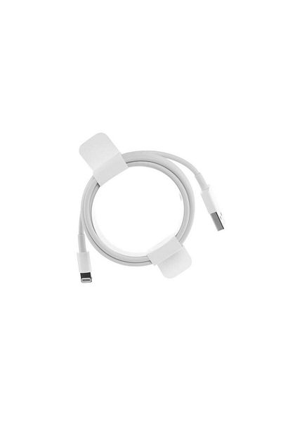 Apple Lightning to USB Cable (1m)