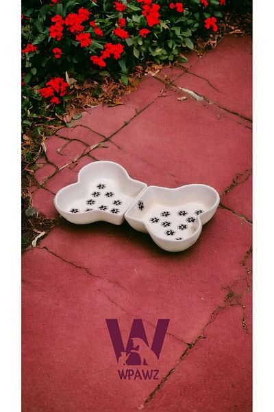 WPAWZ Ceramic Cat and Dog Food and Water Bowl 300 ml X 2. Alf