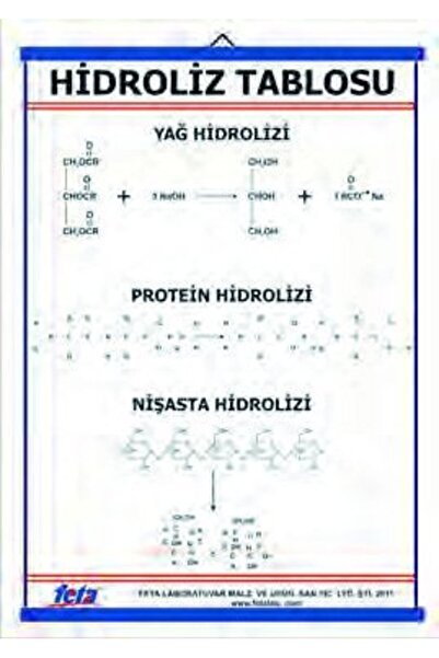 Edulab Hidroliz Levhası 70x100 cm