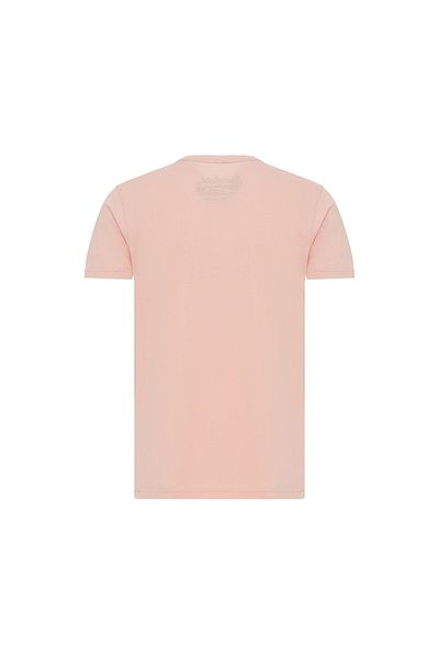 ROUTEFIELD Men's T-Shirt Truth Powder
