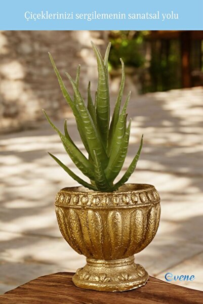 Evene Mini Çiçek Saksı Küçük Sukulent Altın Kaktüs Saksısı Model 17