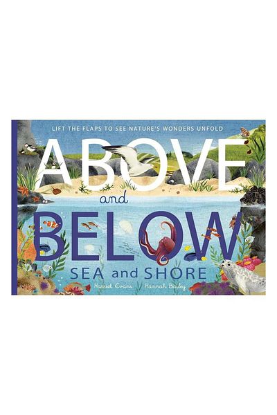 LITTLE TIGER Above and Below - Sea and Shore