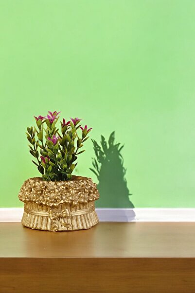 Evene Mini Çiçek Saksı Küçük Sukulent Altın Kaktüs Saksısı Model 3