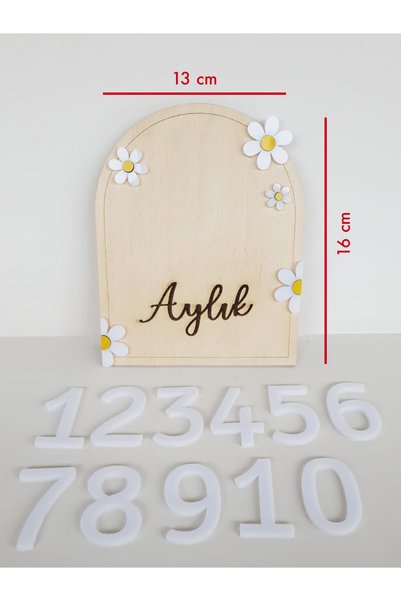 Home Natural Birch Plywood & Plexiglass Numbered Baby 12 Month Milestone Cards | Photo Shoot Set