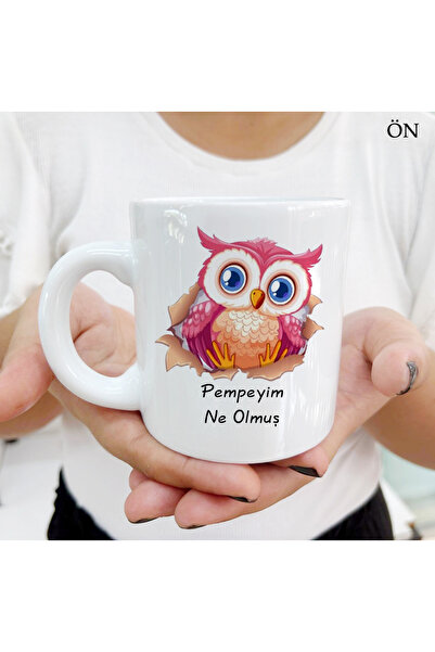 Hediyeciabla Baykuş Pempeyim İşte Renkli Tasarımlar ve Dekoratif Kişiye Özel ...
