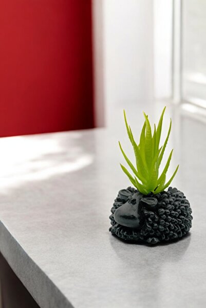 Evene Saksı Dekoratif Saksı Kaktüs Saksısı Sukulent Saksısı Küçük Saksı Model 6 Siyah Saksı