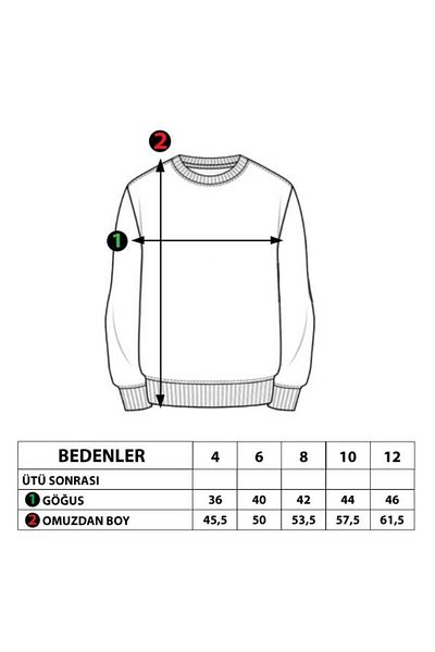 Toontoy Boy's Printed Sweatshirt