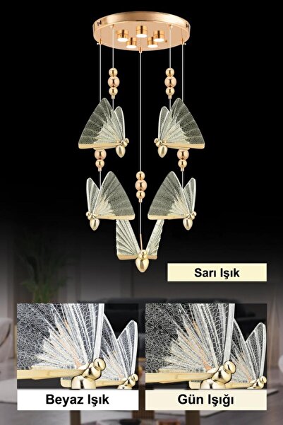 İstanbul Avize İstanbul Avize İpek 5'li Gold Ledli 3 Renk Modern Led Avize