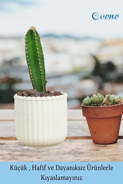 Evene Mini Çiçek Saksı Küçük Sukulent Beyaz Kaktüs Saksısı Model 30