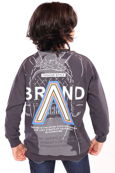 Toontoy Boy's Printed Sweatshirt