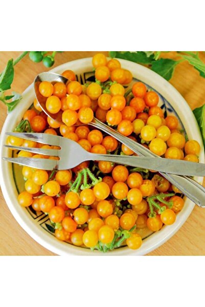 ZENGARDEN EV VE BAHÇE Sarı bezelye domatesi tohumu geleneksel yellow currant ...
