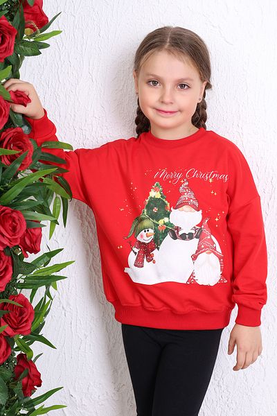 Toontoy Unisex Kids Sweatshirt - Printed Design