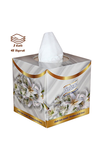 Setpak Butik Kutu Mendil - Setex 3 Katlı 48 Yapraklı (60 ADET)