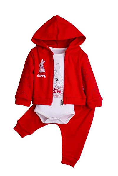 Chicsy Baby Kız Bebek Kapüşonlu Tavşanlı  Pamuklu Zıbınlı Fitilli 3'lü Bebek ...