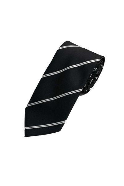 Brianze Black and White Striped Tie