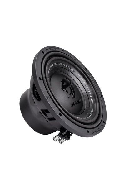 DL AUDIO Anaconda 10