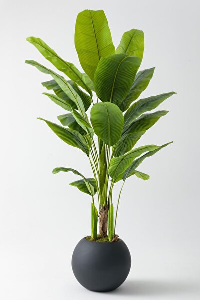 Güleç Yapay Çiçek Yapay Muz Ağacı 180 Cm Fiber Saksılı