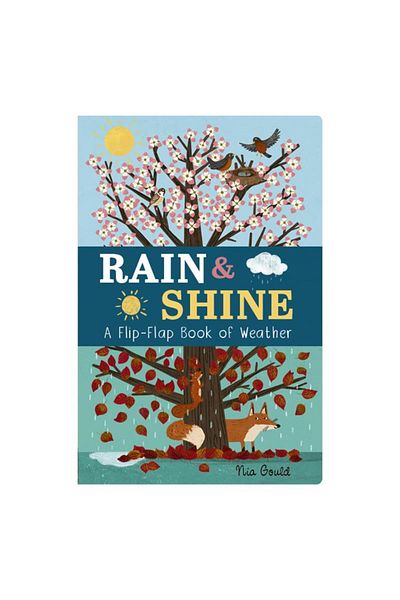 LITTLE TIGER Rain And Shine - A Flip-flap Book Of Weather