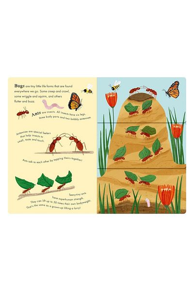 Little Tiger Kids Little Tiger Bees and Beetles - A Flip-Open Book of Bugs