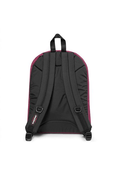Eastpak Pinnacle Daily Backpack 42 cm